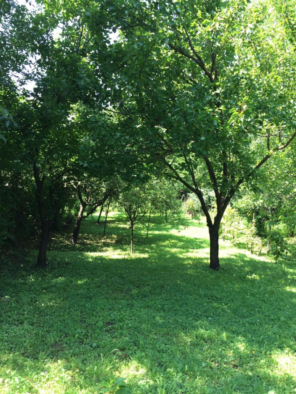Pergola House In A Green Oasis With Fantastic View Apartment Petrovaradin Luaran gambar
