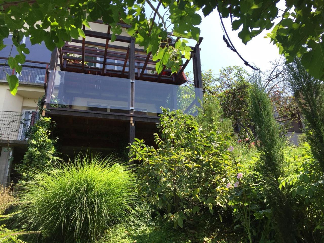 Pergola House In A Green Oasis With Fantastic View Apartment Petrovaradin Luaran gambar