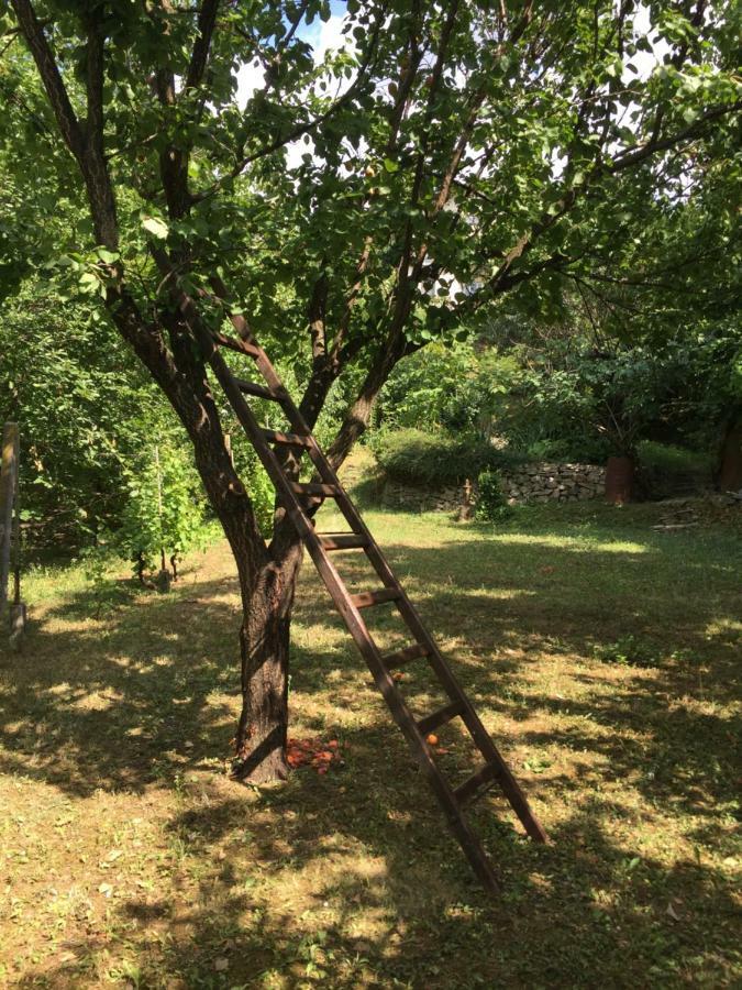 Pergola House In A Green Oasis With Fantastic View Apartment Petrovaradin Luaran gambar